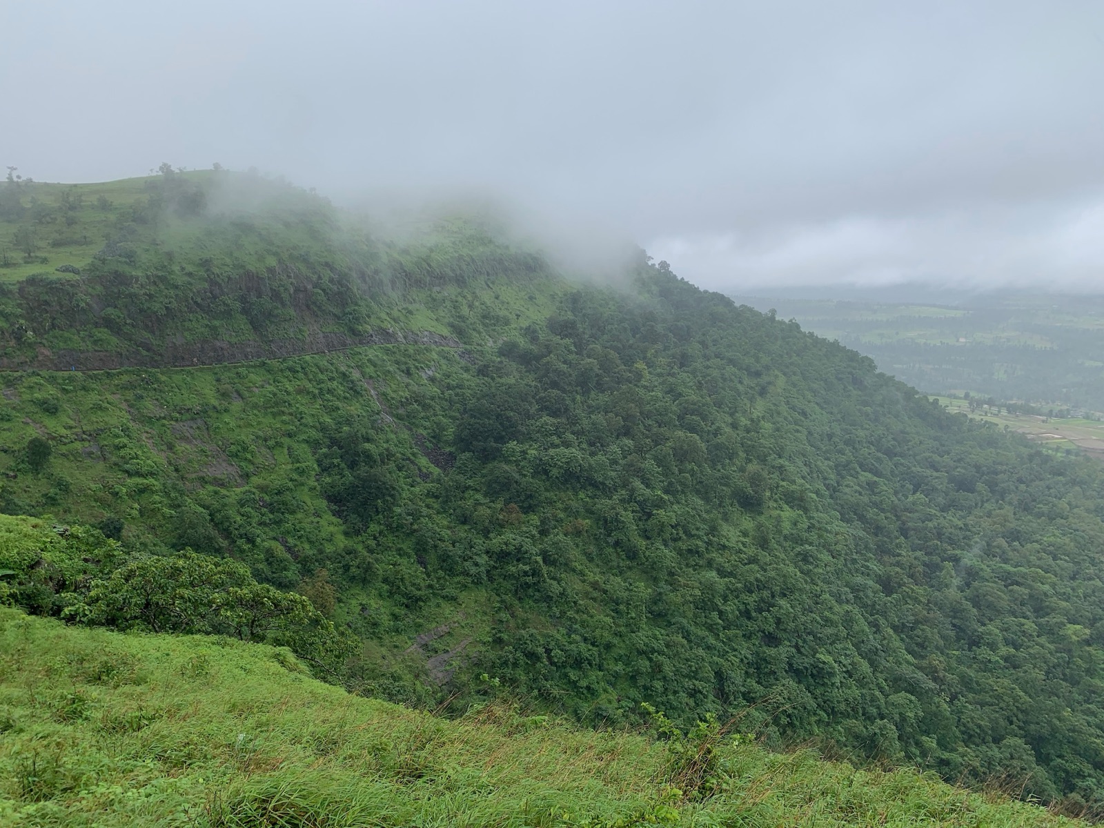 Mist rolling over forested hills in the Dangs