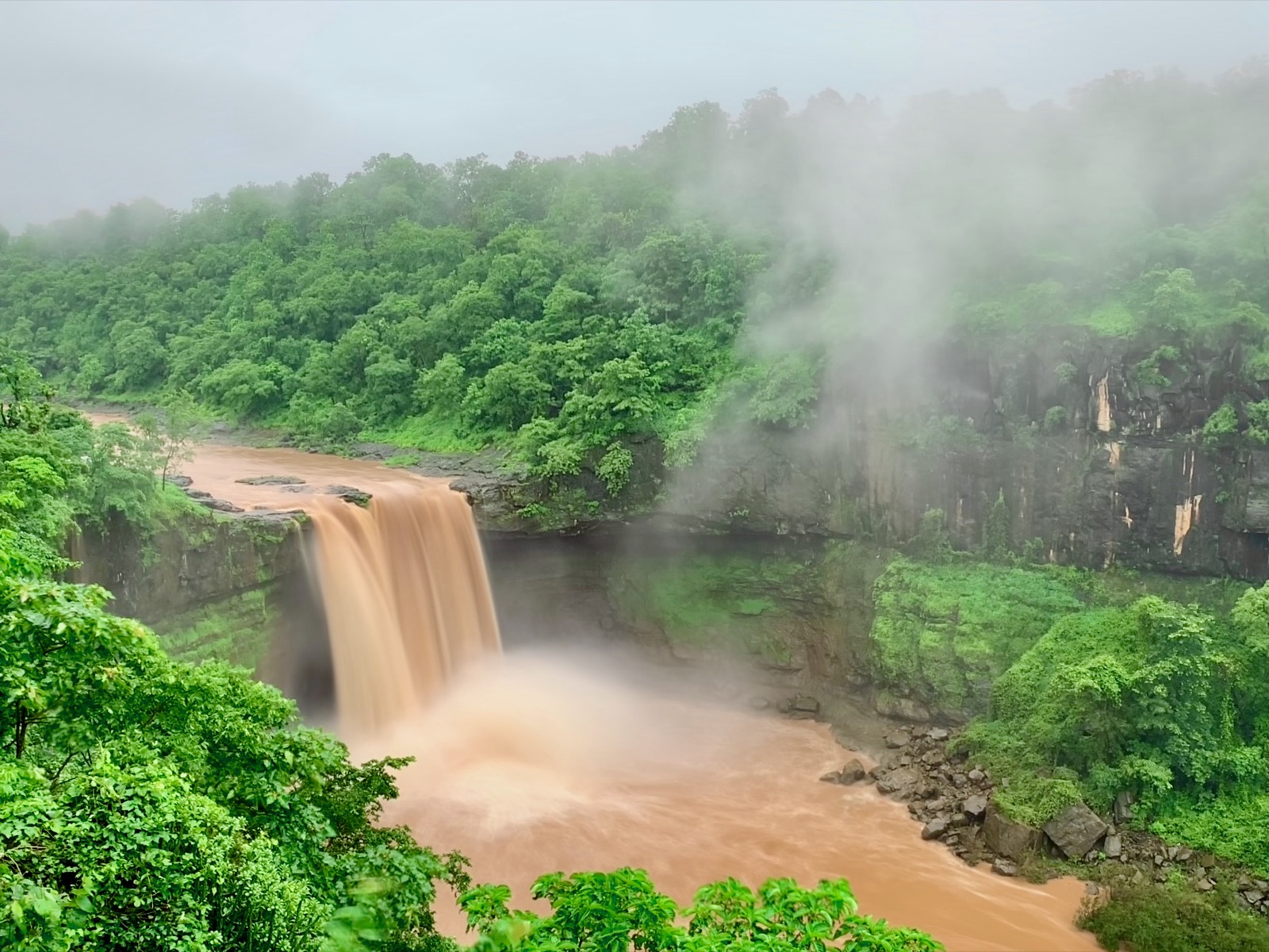 A waterfall in full monsoon flow in the Dangs