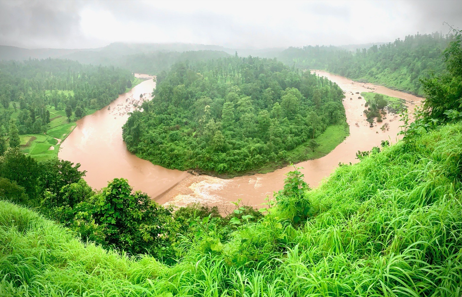 Aerial view of forest and a river in the Dangs