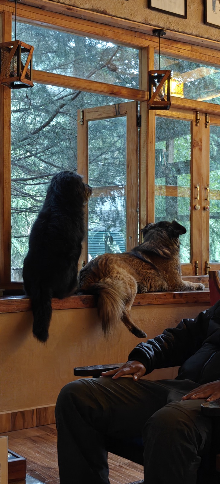 A traveller sitting by the large window at the stay, mountains beyond