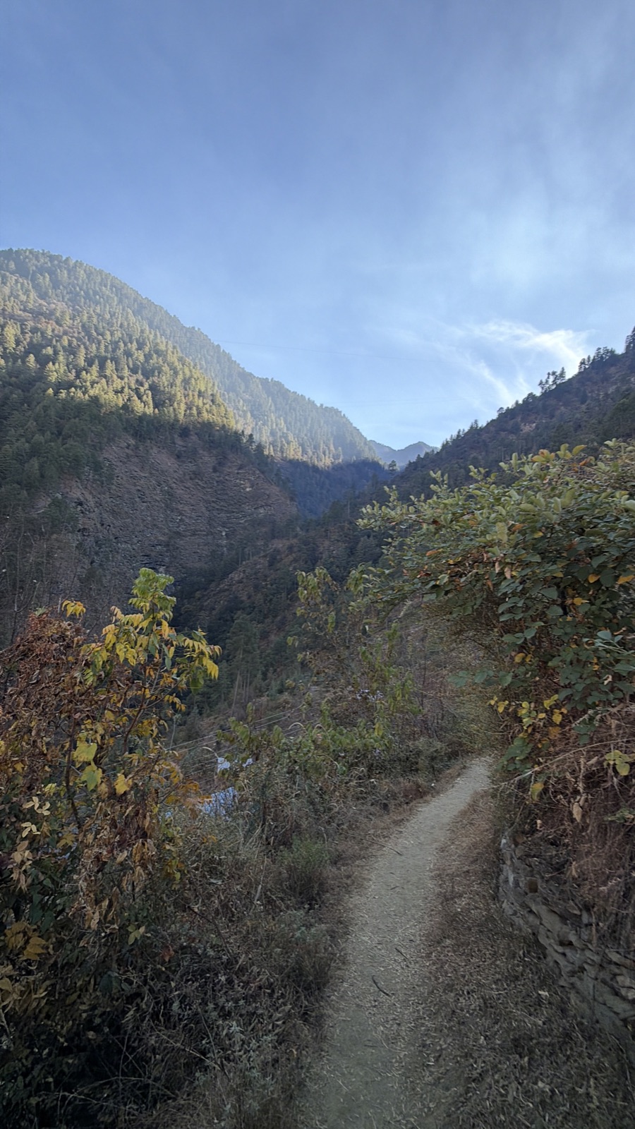 A path through the valley with misty mountains ahead