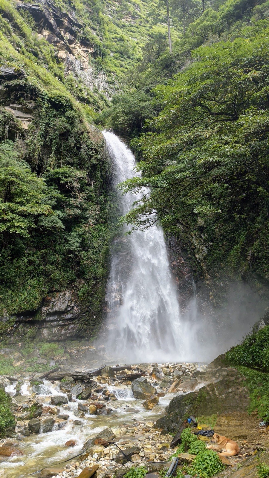 A waterfall dropping through the forest in Tirthan Valley