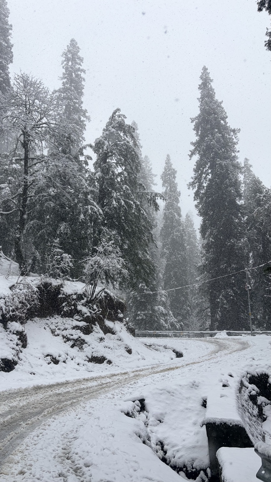 A snow-covered forest road in Tirthan Valley