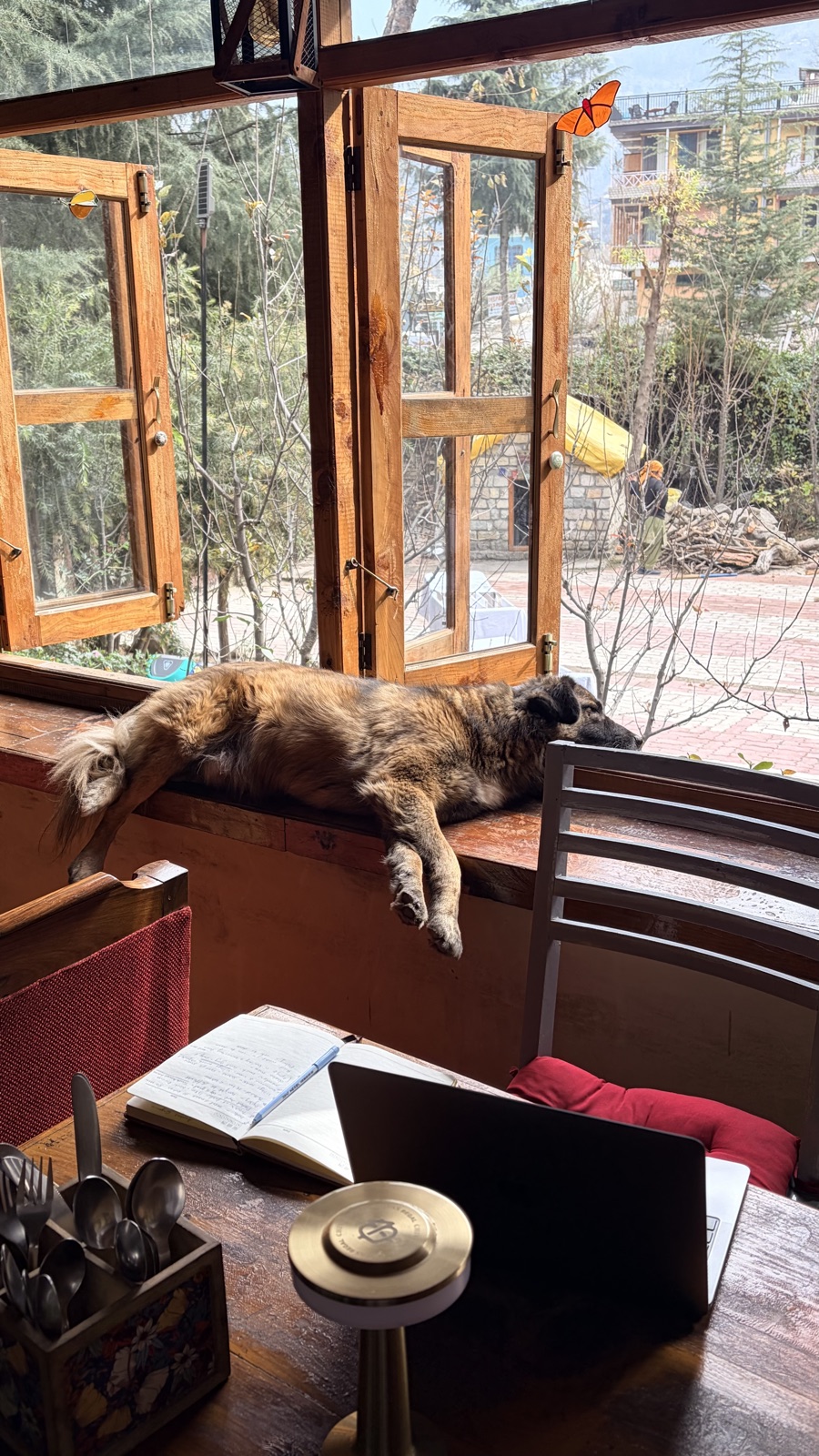 A dog resting on a windowsill at the stay
